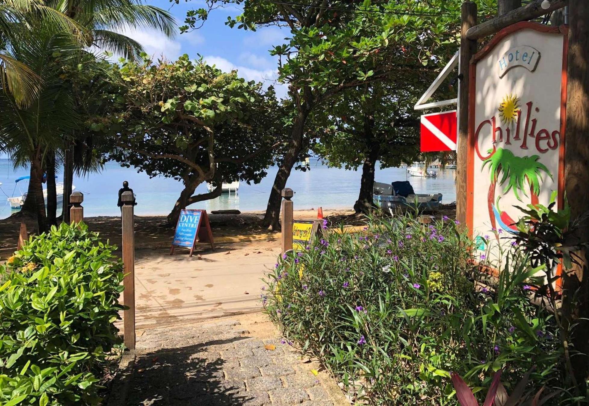Hotel Chillies And Native Sons Diving West End Exterior foto