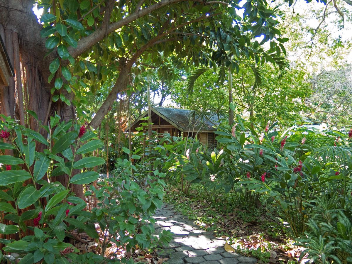 Hotel Chillies And Native Sons Diving West End Exterior foto